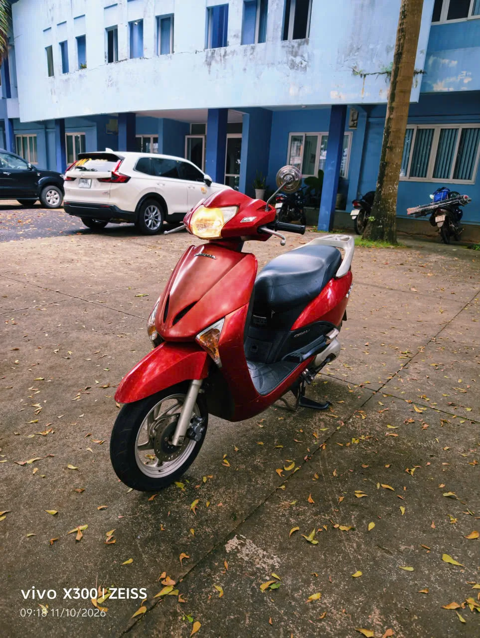 HONDA LEAD 2011 — ảnh 2