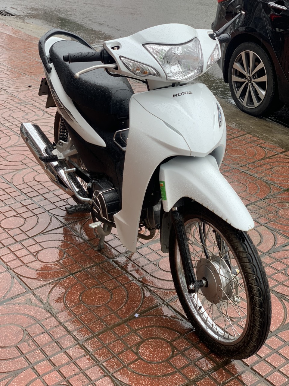 WAVE ALPHA 2024 | THANH LÝ